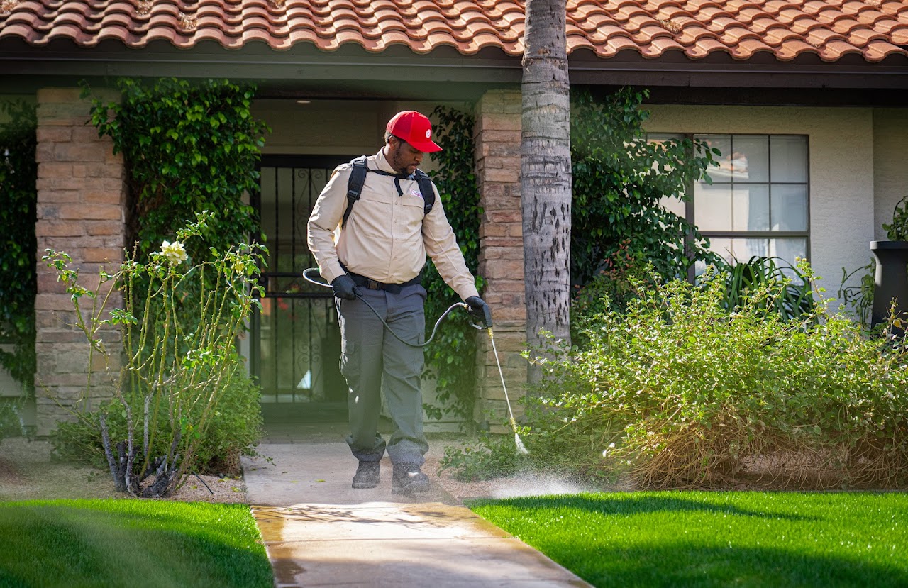 Phoenix Pest & Termite Control project